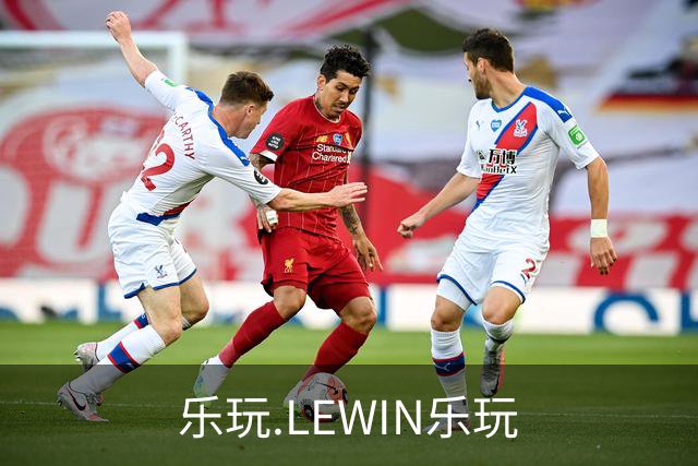 乐玩.LEWIN乐玩公司简介图片