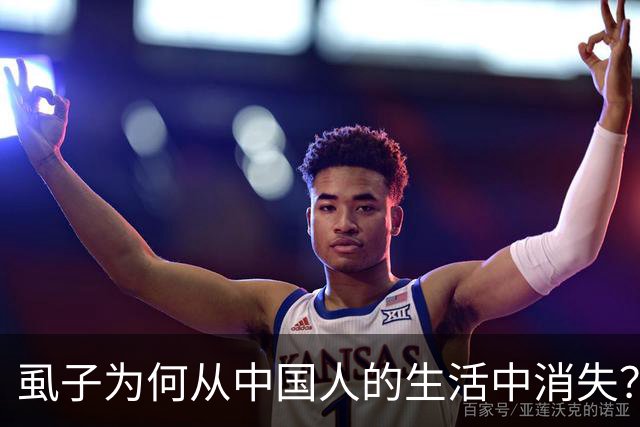虱子为何从中国人的生活中消失？背后的真相揭示